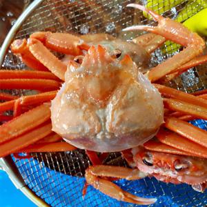 속초 붉은대게 홍게 일반형 3kg (7-11마리내외) 산지직송 연지홍게 영덕대게 울진 후포 포항