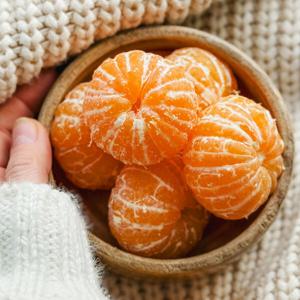 돌담프룻  제주산 노지 감귤 로열과 2.5kg