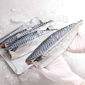 원프로즌 노르웨이 고등어 왕특대 180-210g x 10팩 노르웨이 산지 가공 한번얼린 고등어