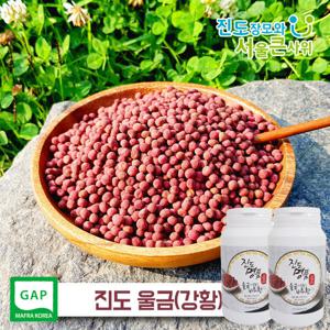 진도 울금(강황)비트환 300g 2통 (총 600g)