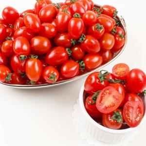 (신선집중) 5%/ 대추방울토마토 3~4번 3kg /2개 주문시 7kg 발송