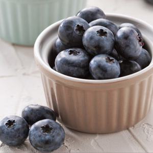 매일수확 옹달샘힐링팜 햇 블루베리 생과 1kg 산지직송