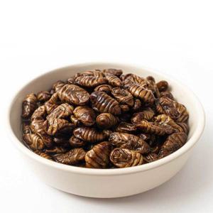 고소한 간식 냉동번데기 1kg X 2팩