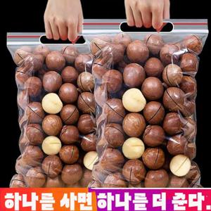 마카다미아 다미아 (우유향)  알알이 250g/봉지 제철 따는 싱싱한 큰 알갱이다미아
