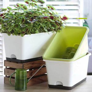 세이프티 대형 텃밭화분 채소키우기 베란다텃밭