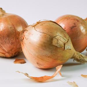 (신선집중) 양파 국내산 햇 양파 5kg (중)