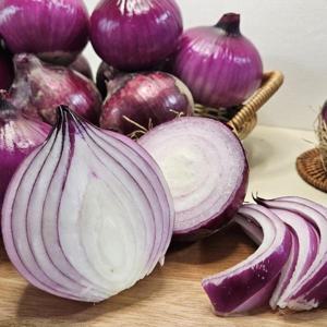 KJP마켓 특품 햇 적양파 국내산 자색양파 5kg