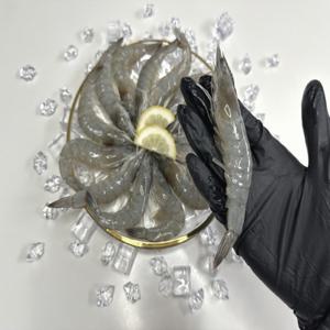 국내산 흰다리새우 1kg  / 당일 생물 / 35~40마리 내외 / 고성 횟감 흰다리새우 / 달달한 횟감가능 활 새우