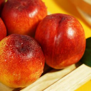 풍부한 과즙 가득 천도복숭아 1.5kg(12~15과)