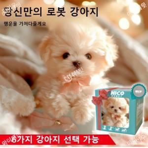 뽀글이 장난감 로봇 강아지