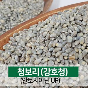 청보리쌀 청보리 강호청보리 햅곡 5kg 25년 햇곡 산지직송