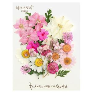 체크스토리 압화 컬러믹스 종합팩 꽃모음 23p 세트