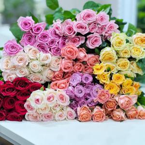 (김해장미) 장미 10송이 생화 꽃 농가 직접판매 데일리꽃 농장직송 김해장미 특가