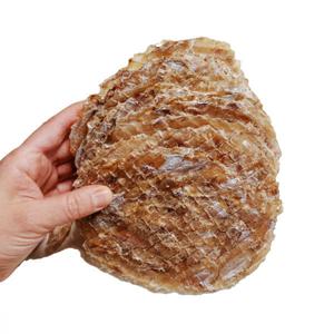 (신선집중) 쥐포 쥐치포 대자 15장+마요네즈 증정 2개 이상 구매 시 미니 석쇠 증정