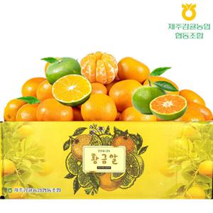 (신선집중) 귤 감귤 당도선별 제주감귤협동조합 황금알 노지감귤 로얄과 4.5kg