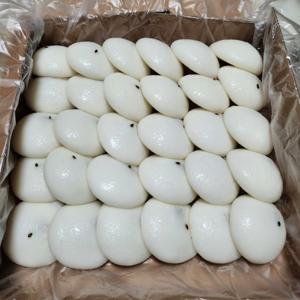 당일생산 식사대용 발효떡 영양간식 팥앙금 잔기지떡 30개