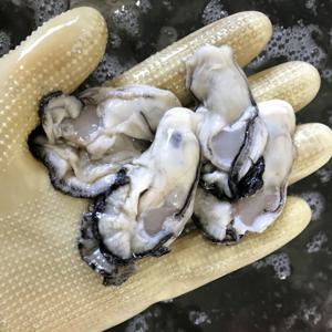 통영굴 생굴 통영생굴 굴제철 굴밥 굴국밥 2kg (횟감용) 당일 조업 당일 발송