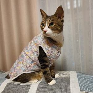 애견 레트로 꽃무늬 패딩 할매 김장 조끼 목도리 셋트 애견 레트로 꽃무늬 패딩 할매 김장 조끼 목도리 셋트