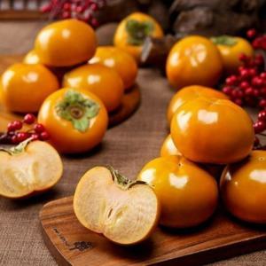 경남 진영단감 5kg 24과내외