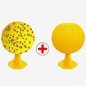 1+1 강력  초파리끈끈이 파리 날파리 퇴치 초파리 트랩 해충 끈끈이 뿌리파리