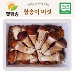 햇담 참송이버섯 정품 특대사이즈 최상급 500g 1kg 농협에 납품하는 무농약 이천 참송이버섯