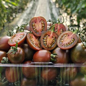 당일수확 새콤달콤 대저 흑 대추 방울토마토 2kg