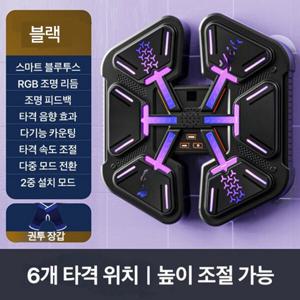 스마트 뮤직 복싱 머신 지능형 꽃잎 복싱 타깃 스마트 홈트 샌드백 다이어트 유산소 홈트 스트레스 해소