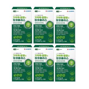 코오롱 기억력 혈행엔 은행잎 플러스 징코 30정 x 6박스 6개월분 기억력 혈행 개선
