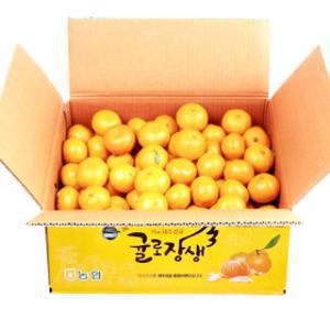 (신선집중) 감귤 제주시농협 귤로장생 햇 노지감귤 4.5kg