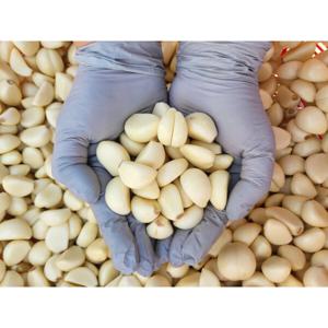 25년산 국산 깐마늘(대) 200g 주문 즉시 포장 산지직송