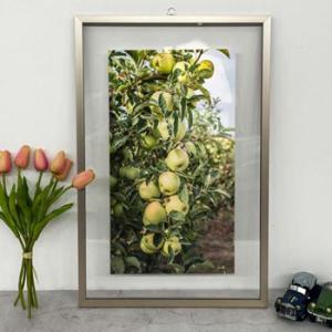 아트박스/꾸밈 td352-투명액자38CmX58Cm_풋사과나무