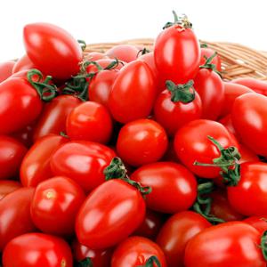 [농협공판장] 정성드린 대추방울토마토 2kg(1-2번과)