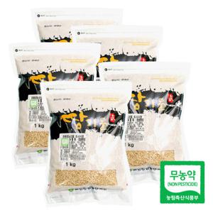 [고산농협] 친환경 땅기운 찹쌀현미 1kgx5팩(5kg)