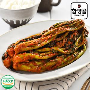 [함평골김치] 감칠맛이 풍부한 전라도 여수 갓김치 1kg