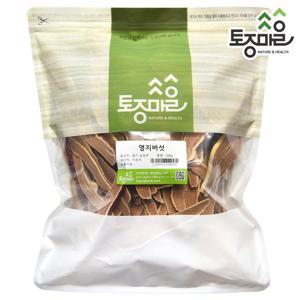 [토종마을]국산 영지버섯 절단 500g