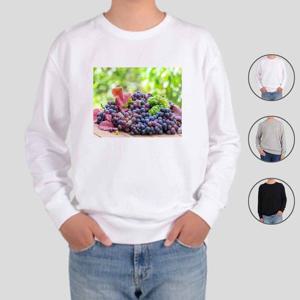 [알티피아]맨투맨 전색상 계절과일 포도 과일나무 GRAPE5