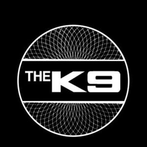 더K9 매립형 LED 도어 라이트 2P 세트 자동차 용