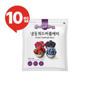 비타푸룻 칠레 냉동 쿼드러플베리 10 팩 (팩당 500g)
