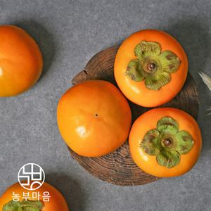 [농부마음]전라도 햇 단감 3kg(17-25과)