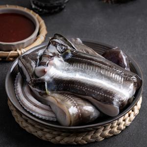 통영 자연산 바다장어 1kg (대) 2-4미 손질장어
