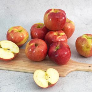 [미식한가] 아리수 사과 주스용 9kg 랜덤과