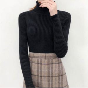 [리빌모아]여자 포근 도톰 기본 목폴라 골지 티 LDW-TSA-SSIS622