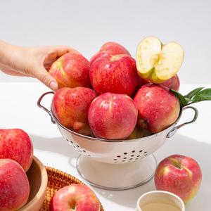 [미식한가] 경북 홍로 사과 주스용 6kg 랜덤과