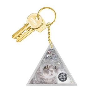 아트박스/원더스토어 [도이] 아쿠아 실버 열쇠고리 자동차 키링