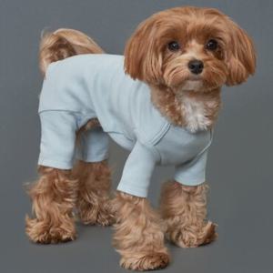 도그아이 강아지옷 50수올인원 (DG182)