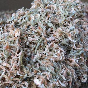 밥새우 섞인 지리멸치 1kg 무료배송 잔멸치 볶음멸치