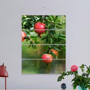 아트박스/꾸밈 nl646-멀티아크릴액자_풍수붉은석류(4단대형)