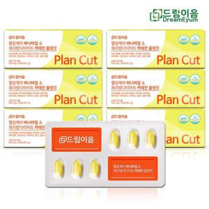 드림이음 혈당케어 바나바잎 & 체지방 다이어트 카테킨 플랜컷 혈당 다이어트 6개월분