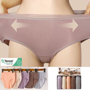 선샤인 맥시 여성 팬티 여삼각 모달소재 5매 세트