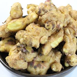 [팔도농장] 서산 태안 햇 생강 특상품 2kg